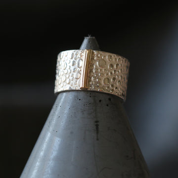 Silver Toad Texture Ring with Gold Bar