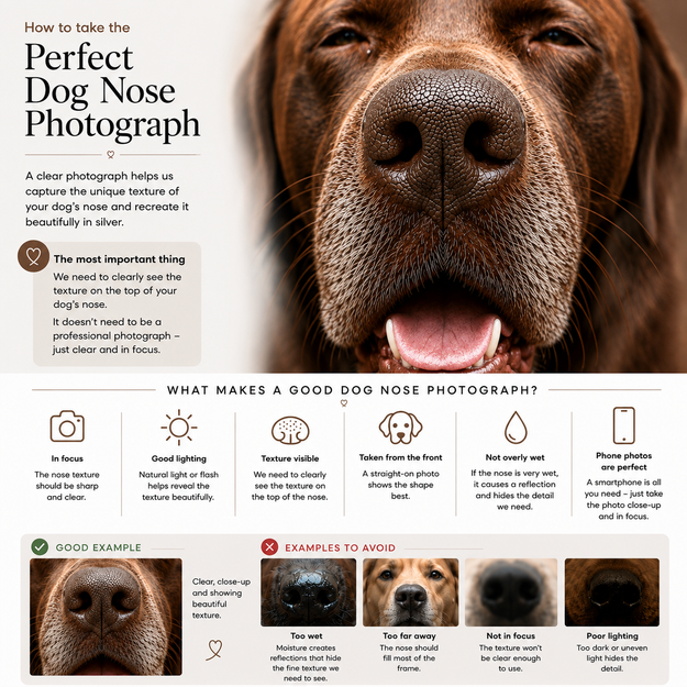 Heirloom Dog Nose Print Story Bracelet – How to take a clear photograph of your dog’s nose