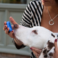 Silver Snozza™ Rounded Dog Nose Impression Necklace – Take your dog’s life-size nose impression at home