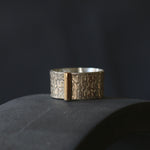 Silver Rune Texture Ring with Gold Bar - Image 1