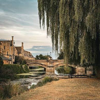 The Stamford Meadows Willow Ring - Thumbnail 2