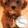 Square Peg Pet Name Tag - Thumbnail 3