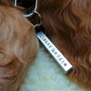 Square Peg Pet Name Tag - Thumbnail 6